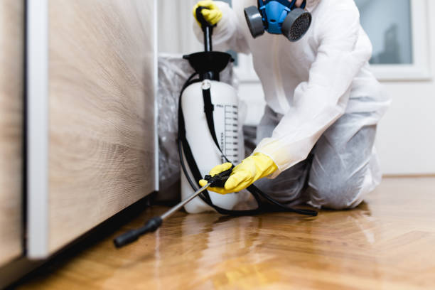 Best Residential Pest Control  in Manchester, IA