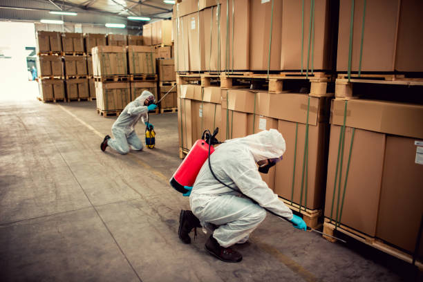 Best Termite Control Services  in Manchester, IA