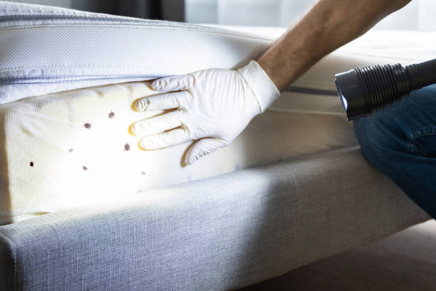Best Pest Control Near Me  in Manchester, IA