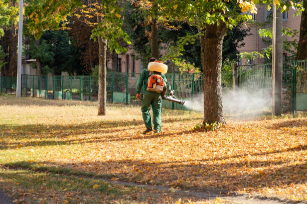 Best Pest Prevention Services  in Manchester, IA
