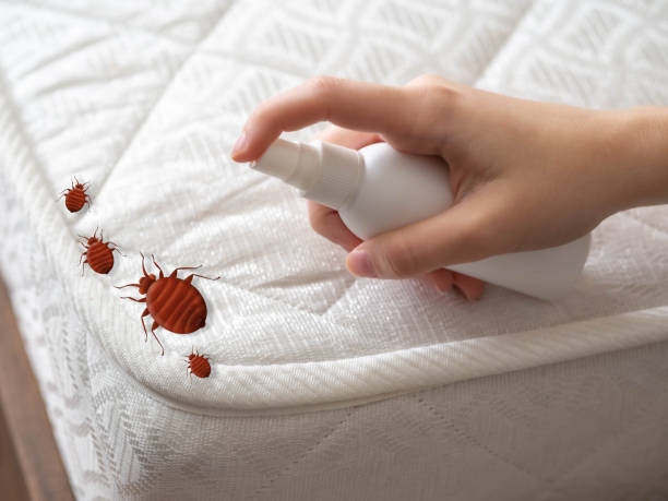 Best Best Pest Control Companies  in Manchester, IA