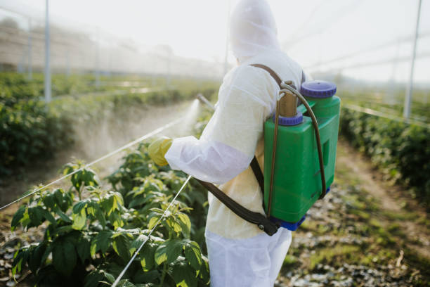 Trusted Manchester, IA Pest Control Experts